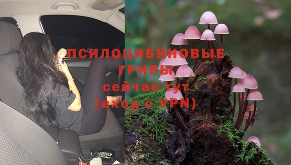 винт Балабаново
