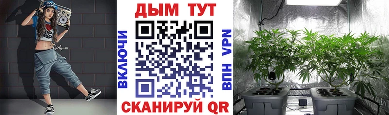 МАРИХУАНА гибрид  Купить где  Россошь 
